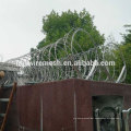 Price razor barbed wire hot dipped galvanized concertina wire SS304 razor wire
